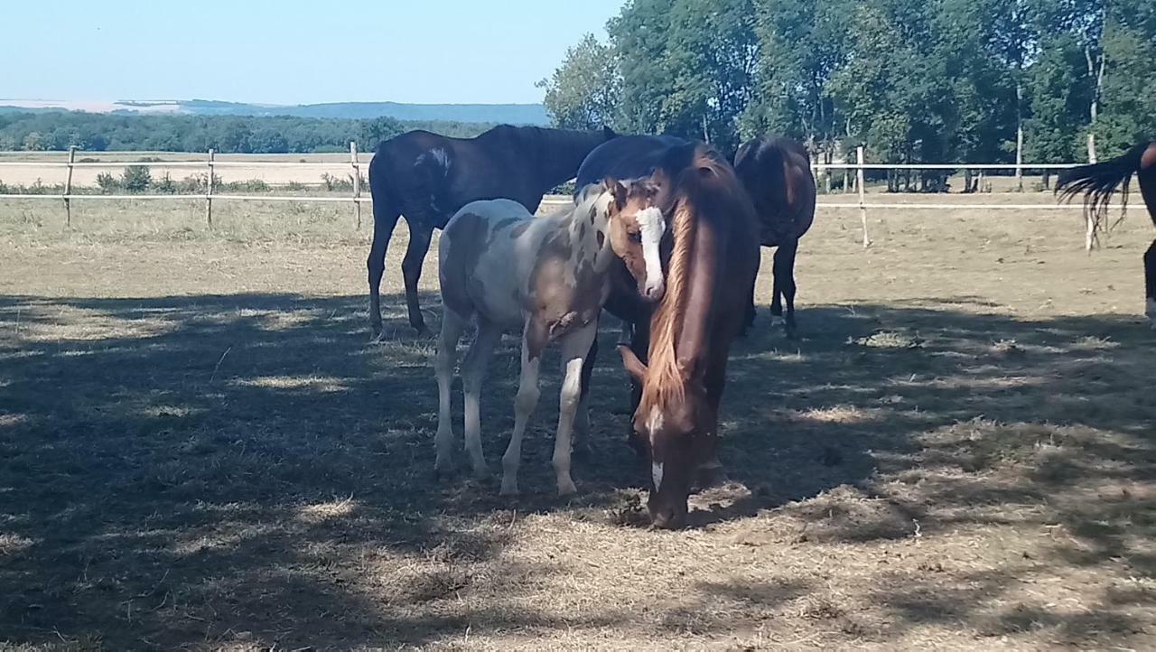 Jad Ranch Hotel Raucourt-et-Flaba Kültér fotó